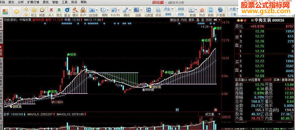 黑马全息指标公式